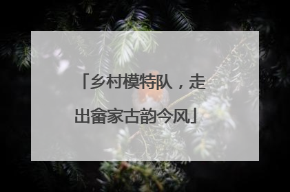 乡村模特队，走出畲家古韵今风