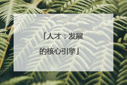 人才：发展的核心引擎