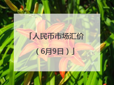 人民币市场汇价（6月9日）