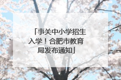 事关中小学招生入学！合肥市教育局发布通知