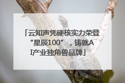 云知声凭硬核实力荣登“星辰100”，铸就AI产业独角兽品牌