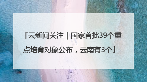 云新闻关注｜国家首批39个重点培育对象公布，云南有3个