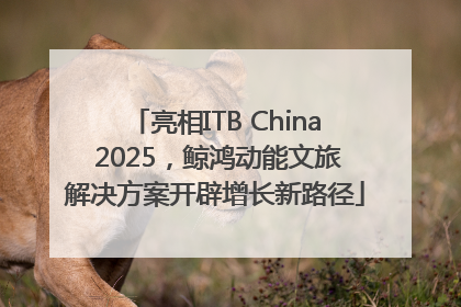 亮相ITB China 2025，鲸鸿动能文旅解决方案开辟增长新路径
