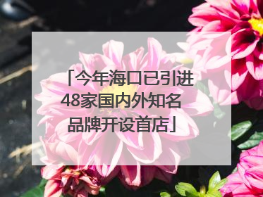 今年海口已引进48家国内外知名品牌开设首店