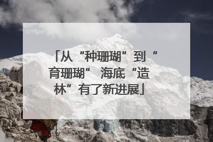 从“种珊瑚”到“育珊瑚” 海底“造林”有了新进展
