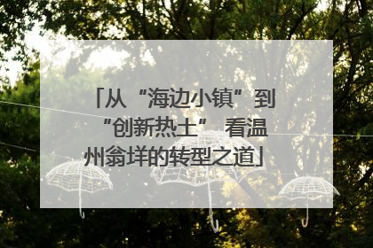 从“海边小镇”到“创新热土” 看温州翁垟的转型之道