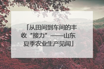 从田间到车间的丰收“接力”——山东夏季农业生产见闻