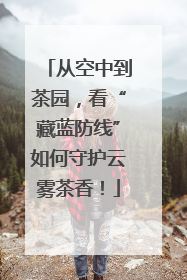 从空中到茶园，看“藏蓝防线”如何守护云雾茶香！