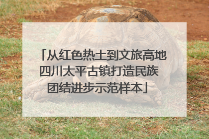 从红色热土到文旅高地 四川太平古镇打造民族团结进步示范样本