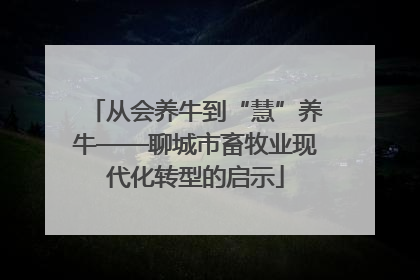 从会养牛到“慧”养牛——聊城市畜牧业现代化转型的启示