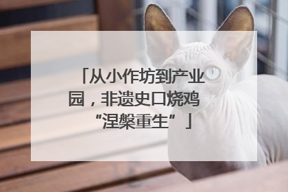 从小作坊到产业园，非遗史口烧鸡“涅槃重生”