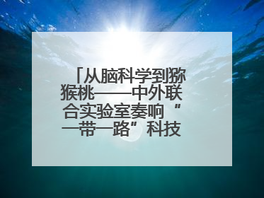 从脑科学到猕猴桃——中外联合实验室奏响“一带一路”科技合作交响曲