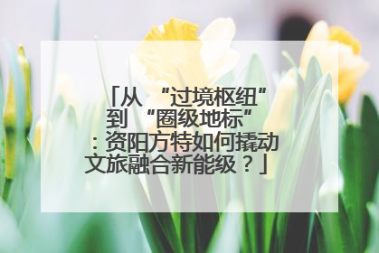 从 “过境枢纽” 到 “圈级地标”：资阳方特如何撬动文旅融合新能级？