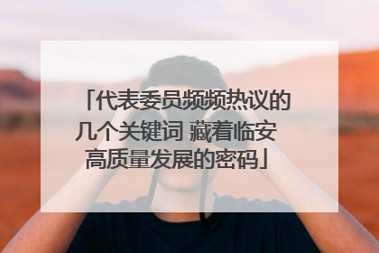 代表委员频频热议的几个关键词 藏着临安高质量发展的密码