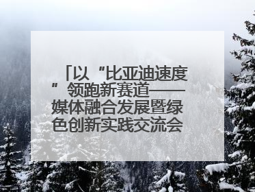 以“比亚迪速度”领跑新赛道——媒体融合发展暨绿色创新实践交流会首站走进比亚迪