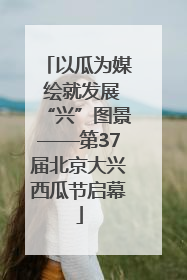 以瓜为媒 绘就发展“兴”图景——第37届北京大兴西瓜节启幕