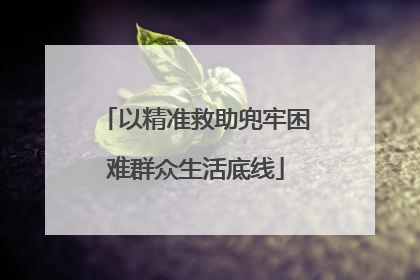 以精准救助兜牢困难群众生活底线