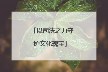 以司法之力守护文化瑰宝