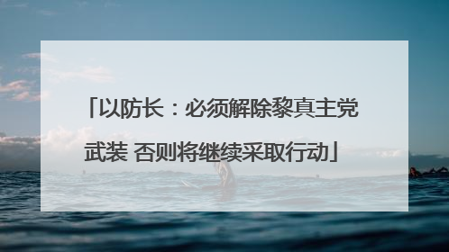 以防长：必须解除黎真主党武装 否则将继续采取行动