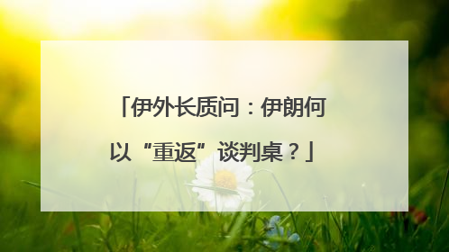 伊外长质问：伊朗何以“重返”谈判桌？