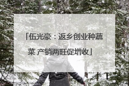伍光豪：返乡创业种蔬菜 产销两旺促增收