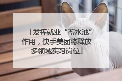 发挥就业“蓄水池”作用，快手美团将释放多领域实习岗位
