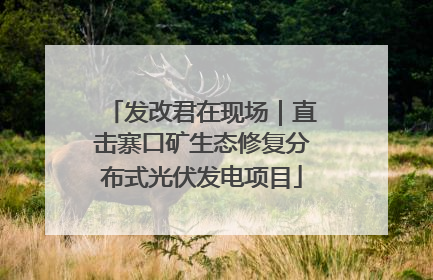 发改君在现场｜直击寨口矿生态修复分布式光伏发电项目