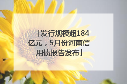 发行规模超184亿元，5月份河南信用债报告发布