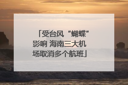 受台风“蝴蝶”影响 海南三大机场取消多个航班