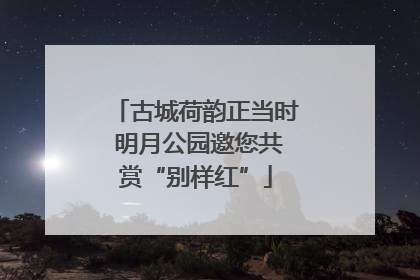 古城荷韵正当时 明月公园邀您共赏“别样红”