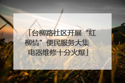 台柳路社区开展“红柳情”便民服务大集 电器维修十分火爆