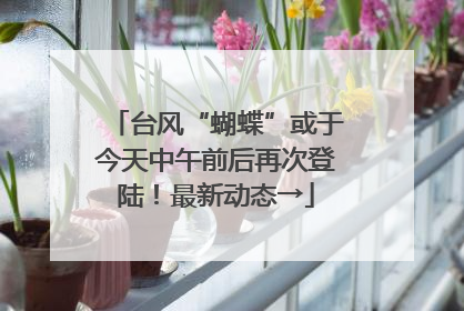 台风“蝴蝶”或于今天中午前后再次登陆！最新动态→
