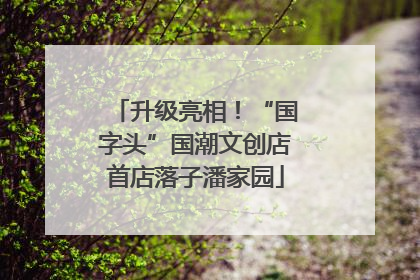 升级亮相！“国字头”国潮文创店首店落子潘家园