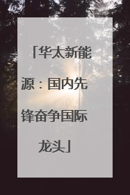 华太新能源：国内先锋奋争国际龙头