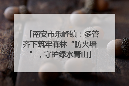 南安市乐峰镇：多管齐下筑牢森林“防火墙”，守护绿水青山
