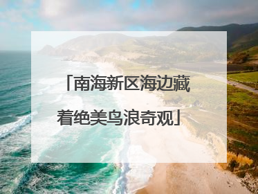 南海新区海边藏着绝美鸟浪奇观