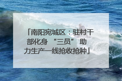 南阳宛城区：驻村干部化身 “三员” 助力生产一线抢收抢种