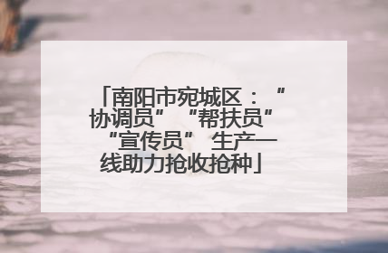 南阳市宛城区：“协调员”“帮扶员”“宣传员” 生产一线助力抢收抢种