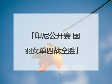 印尼公开赛 国羽女单四战全胜