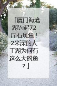 厦门海沧湖钓起72斤石斑鱼！2米深的人工湖为何有这么大的鱼？