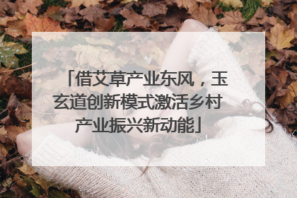 借艾草产业东风，玉玄道创新模式激活乡村产业振兴新动能