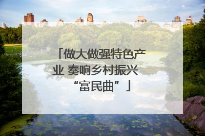 做大做强特色产业 奏响乡村振兴“富民曲”