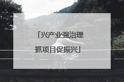 兴产业强治理 抓项目促振兴