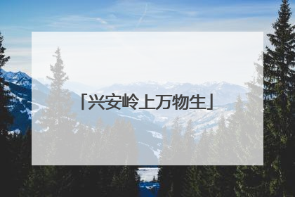 兴安岭上万物生