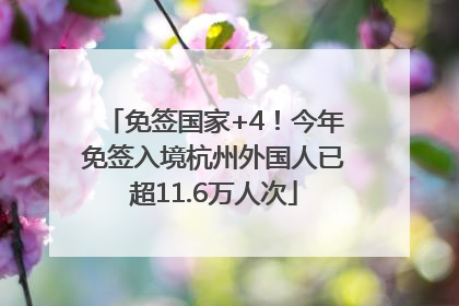 免签国家+4！今年免签入境杭州外国人已超11.6万人次