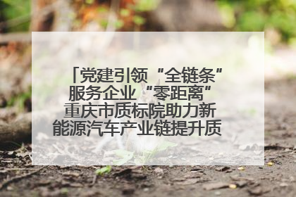 党建引领“全链条” 服务企业“零距离” 重庆市质标院助力新能源汽车产业链提升质量管理水平