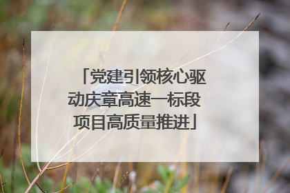 党建引领核心驱动庆章高速一标段项目高质量推进