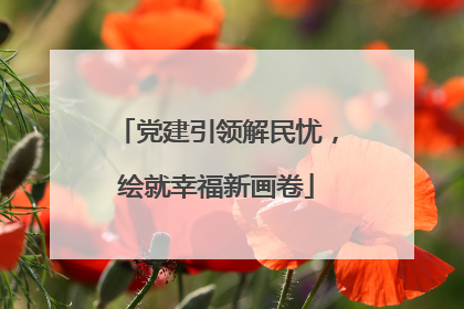 党建引领解民忧，绘就幸福新画卷