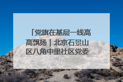 党旗在基层一线高高飘扬｜北京石景山区八角中里社区党委：用脚步丈量民生