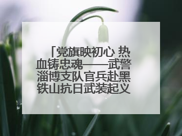 党旗映初心 热血铸忠魂——武警淄博支队官兵赴黑铁山抗日武装起义纪念馆开展“七一”主题党日活动